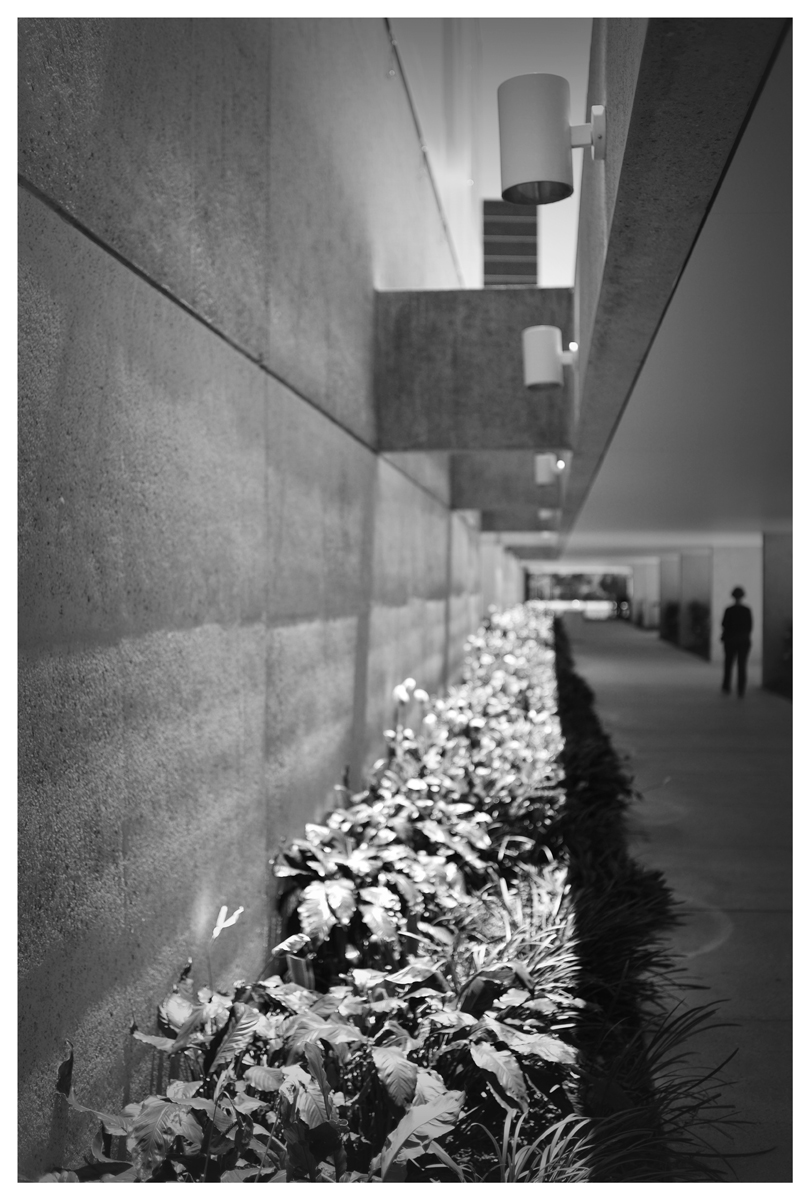 Luke Pendergast, heritage architect